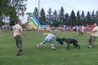 Bemutato Lentikapolna (23)